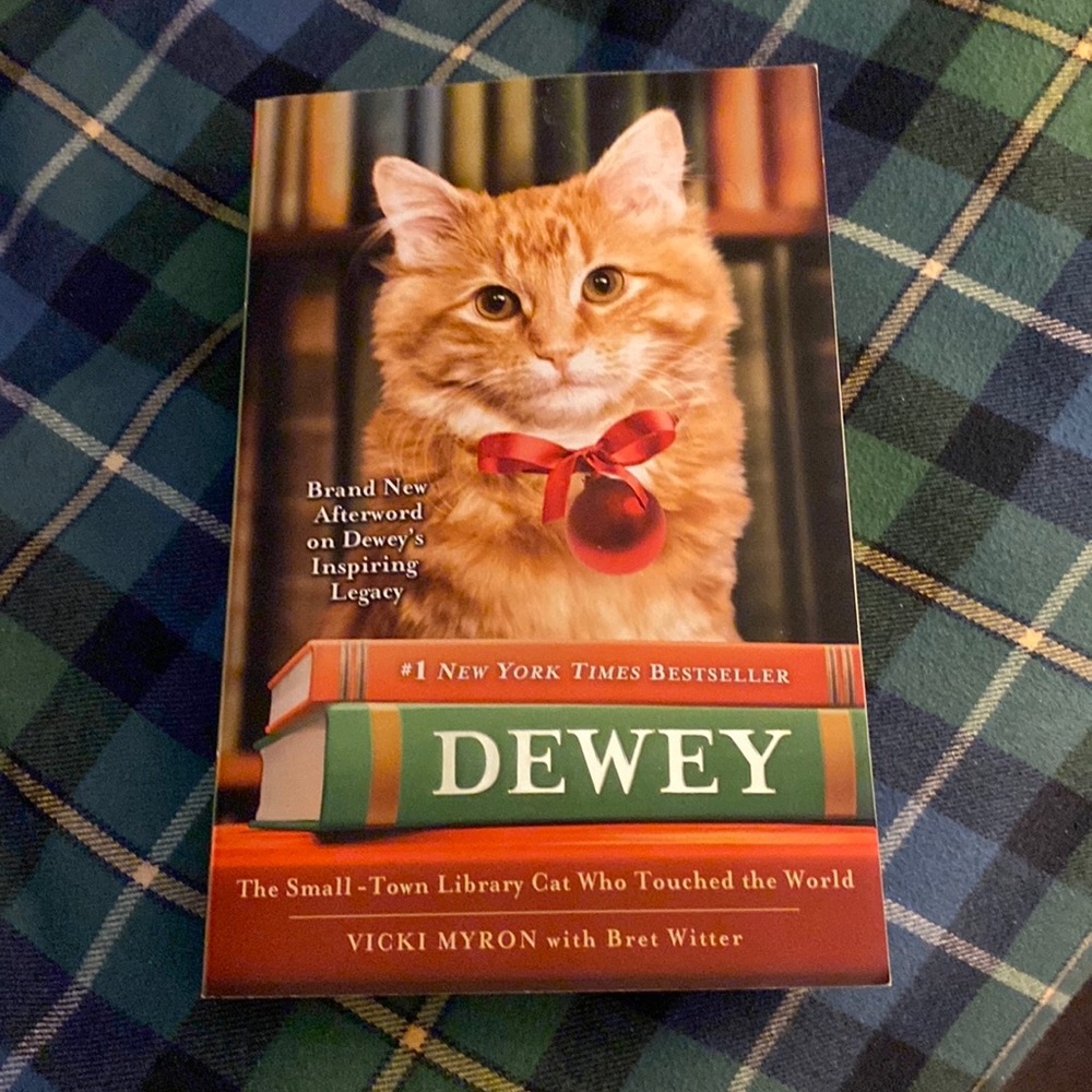 Bestseller DEWEY paperback